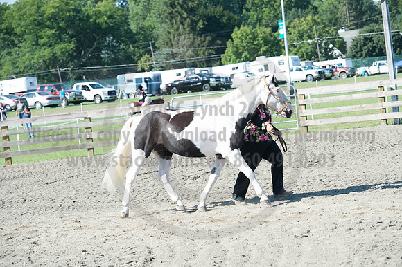 2016DCF_08272016_SCL_1058