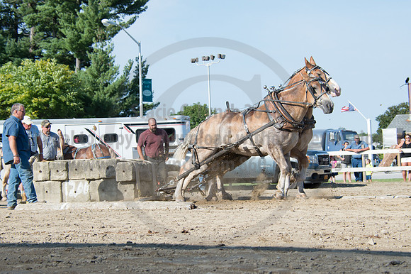 2016DCF_08242016_SCL_9476