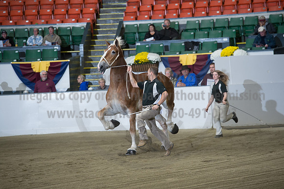 NABC8_10132016_SCL_5130