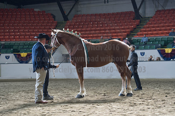 NABC8_10122016_SCL_2858