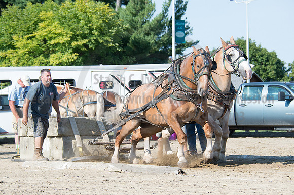 2016DCF_08242016_SCL_9431
