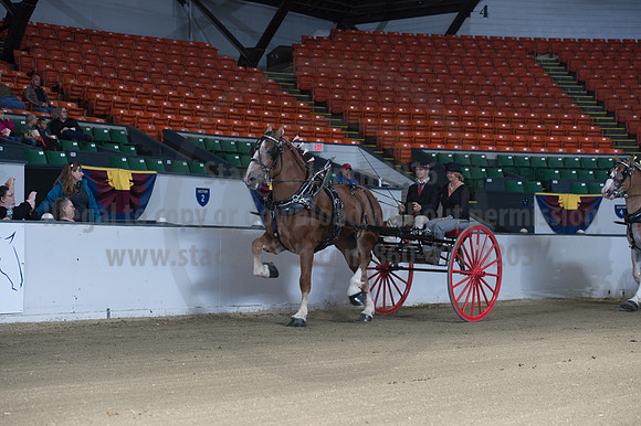 NABC8_10152016_SCL_0356