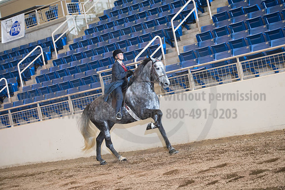 2016 _KILE_10082016_SCL9347