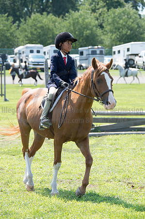 2016DCF_08242016_SCL_8909