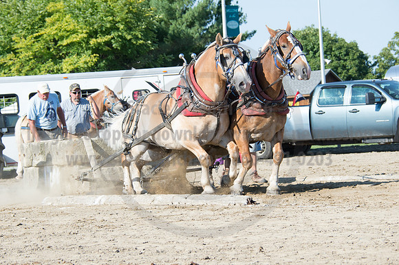 2016DCF_08242016_SCL_9449