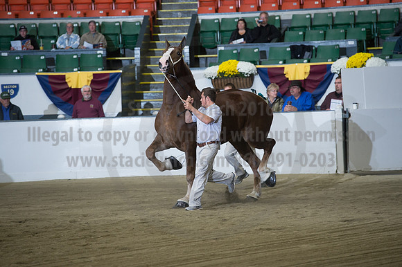 NABC8_10132016_SCL_5129