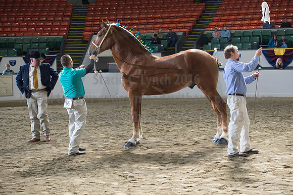 NABC8_10122016_SCL_2929
