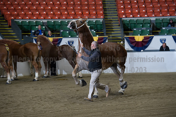 NABC8_10132016_SCL_5180