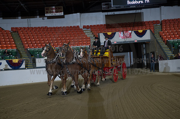 NABC8_10132016_SCL_7741