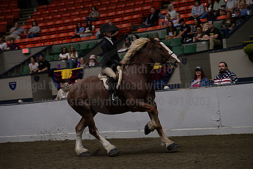 BigE_09272024_SCL1200