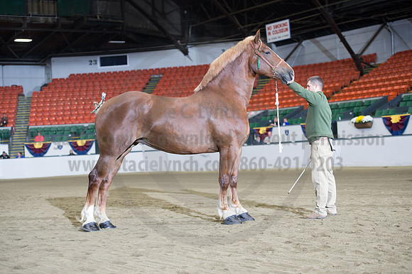NABC8_10132016_SCL_5177