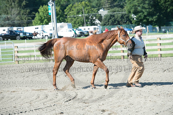 2016DCF_08272016_SCL_1017