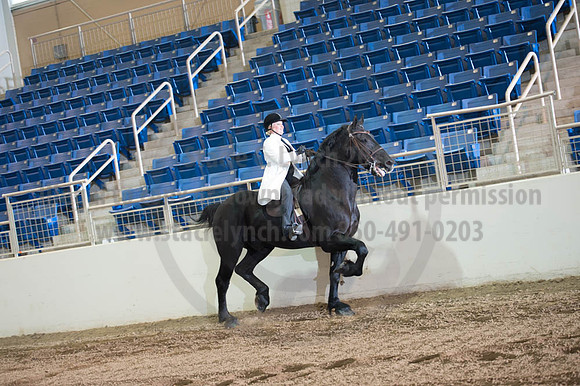 2016 _KILE_10082016_SCL9341