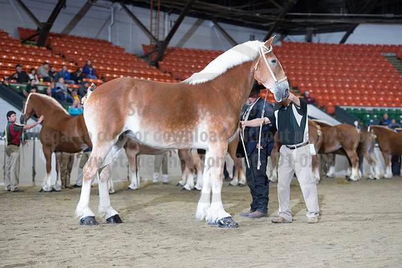NABC8_10132016_SCL_5246