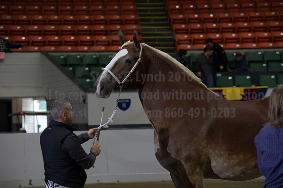 NABC8_10132016_SCL_5317