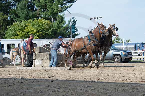2016DCF_08242016_SCL_9507