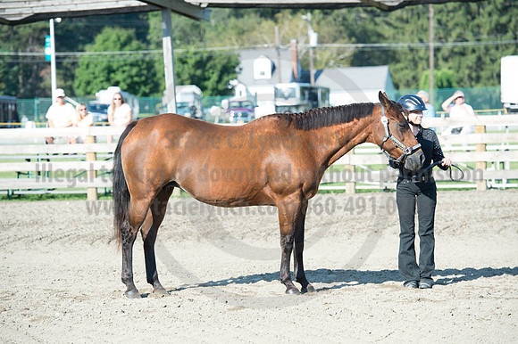 2016DCF_08272016_SCL_0918