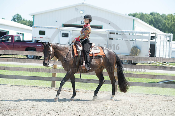 2016DCF_08272016_SCL_1224