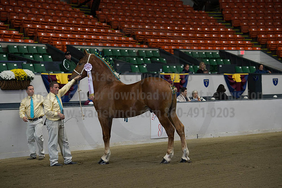 NABC8_10122016_SCL_4143