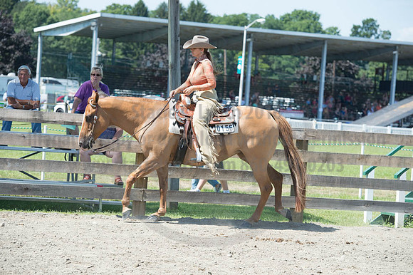 2016DCF_08272016_SCL_1312
