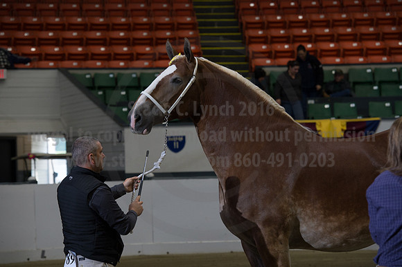 NABC8_10132016_SCL_5316
