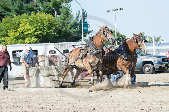 2016DCF_08242016_SCL_9437