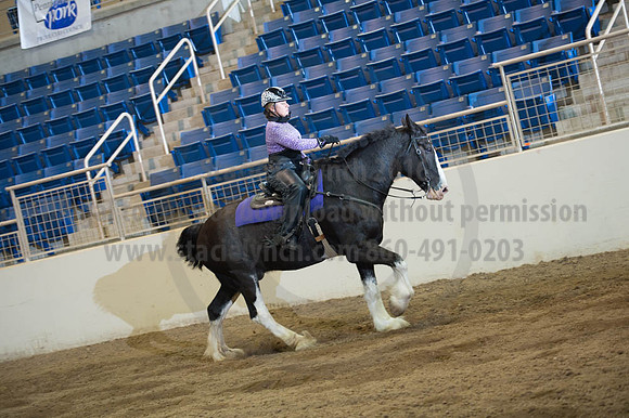 2016 _KILE_10082016_SCL9461