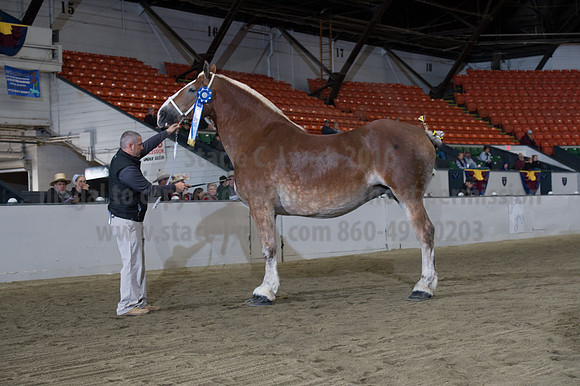 NABC8_10132016_SCL_5321