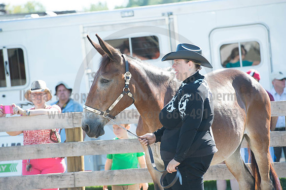 2016DCF_08272016_SCL_1046