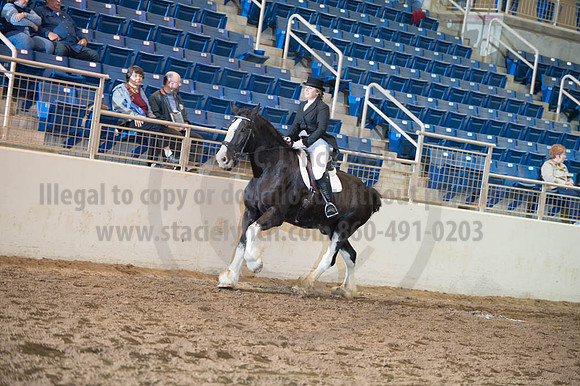 2016 _KILE_10082016_SCL9308