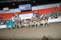 BigE_09292024_SCL2429