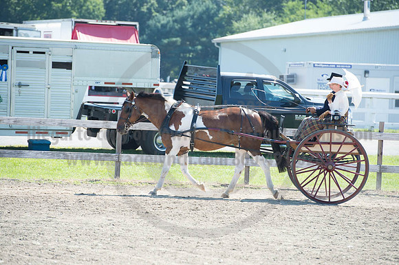 2016DCF_08272016_SCL_1139