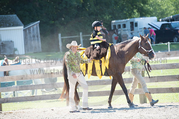 2016DCF_08272016_SCL_1250