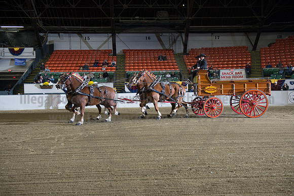 NABC8_10132016_SCL_7762