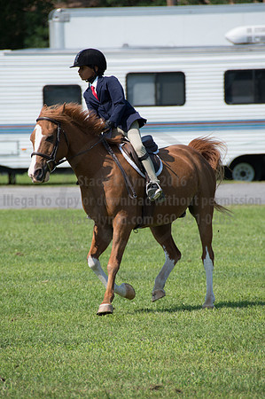 2016DCF_08242016_SCL_8749