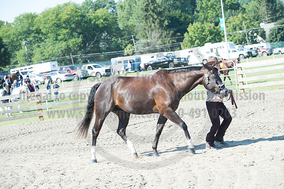 2016DCF_08272016_SCL_1054