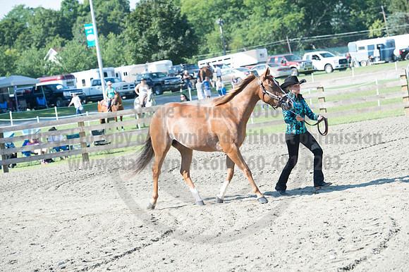 2016DCF_08272016_SCL_1055