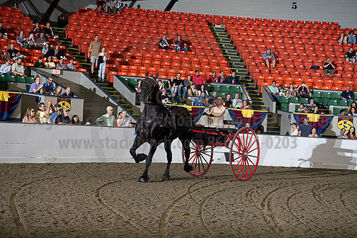 BigE_09282024_SCL1488