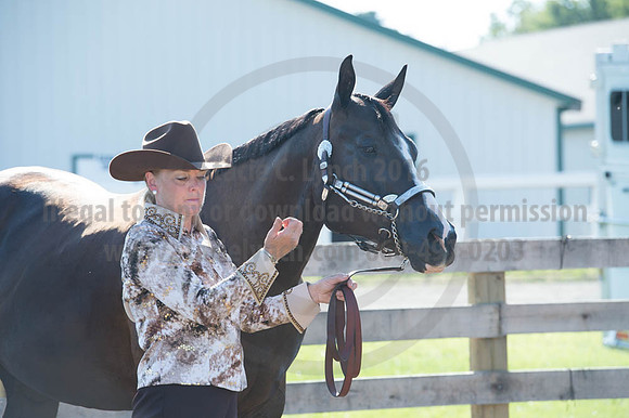 2016DCF_08272016_SCL_0976