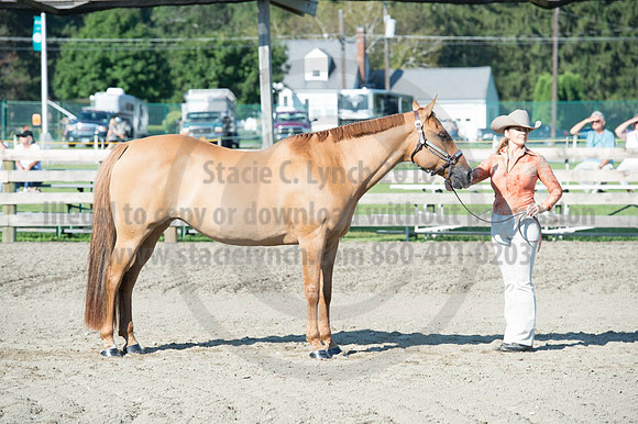 2016DCF_08272016_SCL_0967