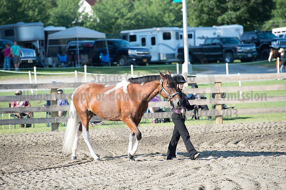 2016DCF_08272016_SCL_0894