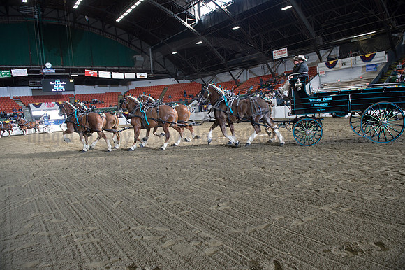 NABC8_10142016_SCL_8682