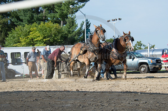 2016DCF_08242016_SCL_9550