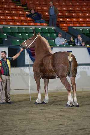 NABC8_10132016_SCL_5104