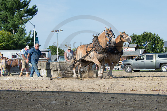 2016DCF_08242016_SCL_9499