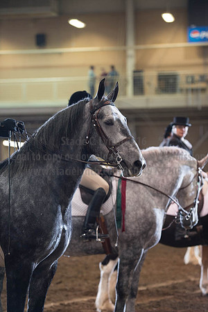 2016 _KILE_10082016_SCL9374