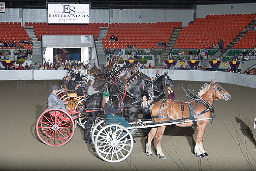 BigE_09292024_SCL2381