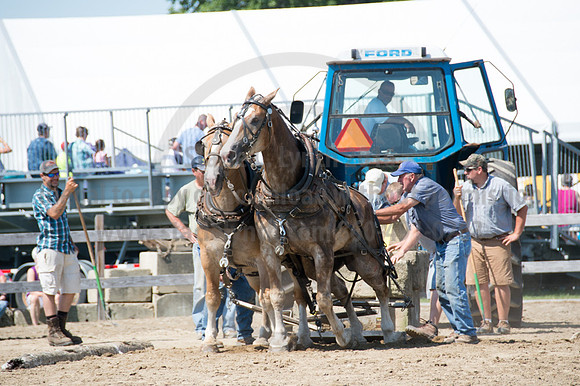 2016DCF_08242016_SCL_9191