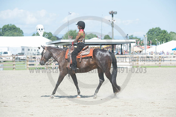 2016DCF_08272016_SCL_1231