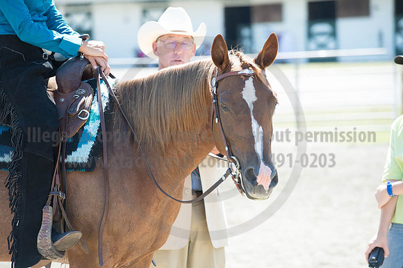 2016DCF_08272016_SCL_1296